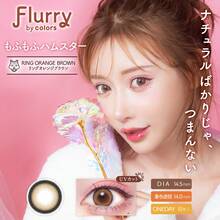 Fluffy hamster