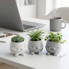 Mini Cute Expression Succulent Plant Pot, Heart-Shaped Plastic Succulent Planter, 6cm/2.4 Inch Small Pot, Suitable For Desk, Office, Shelf And Home Decor, White, Gray - A - View 7