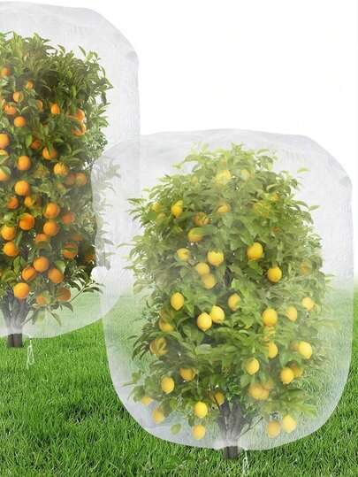 Red de protección grande para árboles frutales, bolsa de protección blanca para frutas y plantas con cordón, malla de jardín para cubrir plantas, red para proteger árboles frutales de pájaros, insectos, cigarras y otras plagas en el patio o jardín exterior