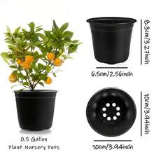Chậu ươm cây, chậu nhựa 10cm có lỗ thoát nước - Chậu ươm hạt trong suốt, dẻo dai dùng để gieo hạt, trồng cây mọng nước, cây con, hoa - Có thể tái sử dụng và bền, ngăn ngừa thối rễ, thích hợp cho làm vườn tại nhà, các dự án xanh. - A - Xem 7