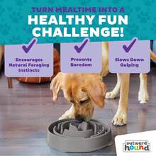 Fun Feeder Slo Bowl – Large 4‑Cup Capacity, Slow Feeding, Medium To Large Dogs, Anti-Skid, Blue, Groove Pattern - Gray - View 1