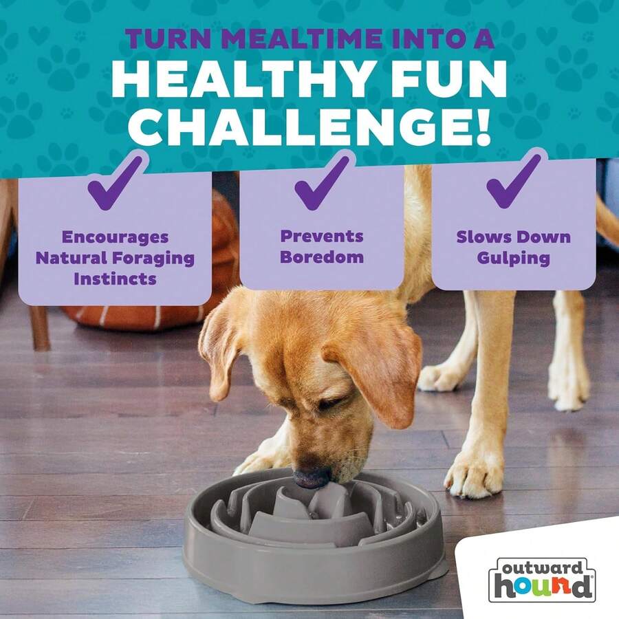 Fun Feeder Slo Bowl – Large 4‑Cup Capacity, Slow Feeding, Medium To Large Dogs, Anti-Skid, Blue, Groove Pattern - Gray - View 1