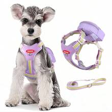 Set de 3 piezas para pasear al perro: Arnés, Bolsa Portadora y Correa, Arnés de chaleco de malla transpirable con hebilla, adecuado para perros pequeños y gatos - Multicolor - Ver 10