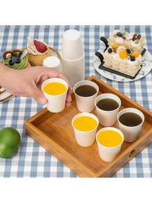 Disposable Kitchenware - A - ראה 3