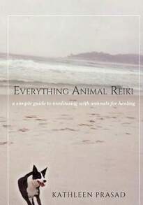 Pre-Owned Everything Animal Reiki: A Simple Guide To Meditating With Animals For Healing (Paperback) By Kathleen Prasad - Single Book - View 1