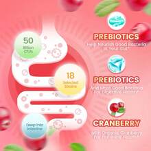Women's Vegina Probiotics, Women's Probiotics Gummies, Women's Balance Gummies, Probiotic Gummies, Cranberry Probiotics For Women's Health, Yeast PH Balance |   60 Gummies Are Suitable For Mother's Day And Valentine's Day, And Are The Preferred Gift For Mothers And Girlfriends - 預設 - 查看 3