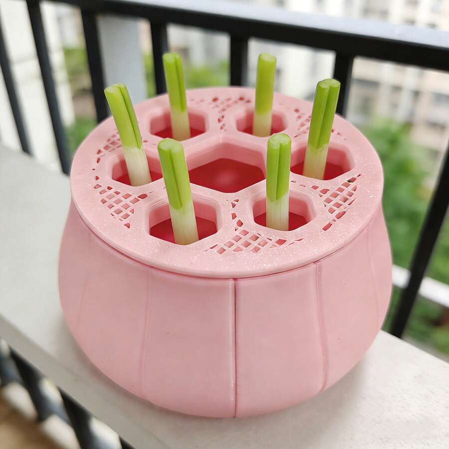 葱苗再生农场 | 水培种植套装及系统 | 室内厨房园艺 | 家庭园艺DIY | 植物繁殖站 | 葱葱及洋葱栽培模具 | 高品质塑料花盆 | 庭院、草坪及园艺工具家居用品，复活节、斋月、婚礼季、父亲节、母亲节、毕业季