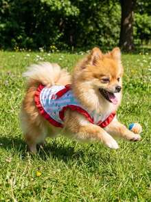 1 pieza Chaleco protector solar para mascotas, chaleco con volantes y lazo rojo para mascotas - Ropa para perros con estampado de fresa lindo, chaleco protector solar para perros con estilo de rayas y transpirable para vacaciones - Multicolor - Ver 9