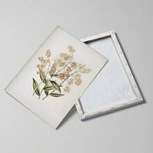 Set Of 1 Cottagecore Vintage Orchid Canvas Poster – Yellow Floral Wall Art, French Country Botanical Print, Frameless/Framed Decor For Living Room Bedroom Kitchen - A - View 9