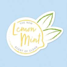 Spray Mop Multi Surface Floors, Lemon Mint Scent - 1+單 - 查看 4