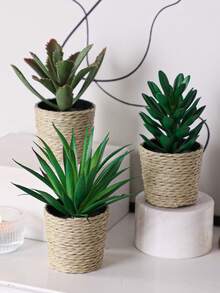 Bộ 3 chậu cây giả mini hình cây mọng nước nhiệt đới, chậu đan bằng rơm màu trắng, đường kính 6,5 cm / 2,55 inch, trang trí bằng dây rong biển, làm từ chất liệu PE. Hoàn hảo để trang trí bàn làm việc, ký túc xá sinh viên và văn phòng. Những chậu cây giả này cũng lý tưởng để trang trí nhà cửa, làm cảnh quan, trang trí tiệc/ngày lễ và trang trí tiệc sinh nhật. - Nhiều màu-A - Xem 3