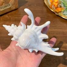1pc Vacation Style Sea Shell Hair Clip  Shark Clip Versatile Temperament Hair Accessory - 白海螺 - 查看 7