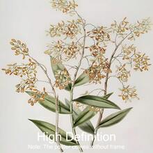 Set Of 1 Cottagecore Vintage Orchid Canvas Poster – Yellow Floral Wall Art, French Country Botanical Print, Frameless/Framed Decor For Living Room Bedroom Kitchen - A - View 6