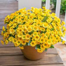 1 Peça Buquê de Flores Artificiais de Margarida com 21 Cabeças, Conjunto de Presente do Dia dos Namorados, Decoração para Casamento, Buquê de Noiva, Corsage de Pulso, Boutonnière, Decoração de Vaso para Casa, Topo de Bolo para Festa de Aniversário, Decoração de Ano Novo, Adereços de Fotografia, Presente de Formatura, Decoração de Primavera, Planta Artificial - Amarelo - Visão 8