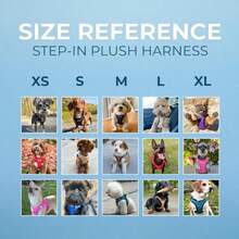 Voyager Step-in Plush Dog Harness Soft Plush Step in Vest Harness for Small and Medium Dogs by Chocolate Suede XL Chest: 20.5-23" - Gamuza de chocolate - Ver 6