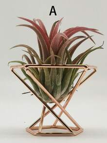 1pc Geometric Air Plant Stand, Metal Plant Holder, Planter Pot Decor - 1PC - View 11