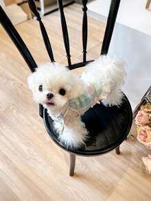 Đầm kẻ caro mềm mại cho chó cưng, đầm không tay viền ren dễ thương dành cho chó nhỏ/vừa, trang phục mùa hè ngọt ngào hàng ngày, quần áo mùa hè thoáng khí. - Nhiều màu - Xem 5