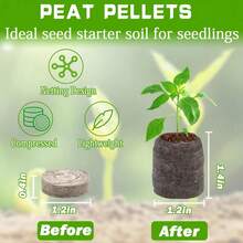 50粒30毫米泥炭丸育苗块，营养丰富的种子种植块，适用于蔬菜幼苗，易于移植的压缩泥炭育苗盆 - A - 查看 9