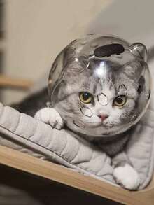 宠物项圈防咬头盔，洗澡修剪指甲防抓防舔宠物猫头套，猫咪太空头盔，防止咬人，猫咪洗澡、修剪指甲、防抓、防舔头套，宠物用品 - 查看 3
