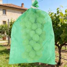 15个/套 可重复使用的水果/植物保护袋，防虫网罩，适用于番茄、葡萄、苹果和其他园艺作物 - 水果保護罩 - 查看 4