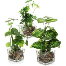 1 pieza Planta artificial en maceta múltiples estilos, follaje falso realista con maceta de vidrio transparente, ornamento de escritorio interior para decoración del hogar y sala de estar - A - Ver 7