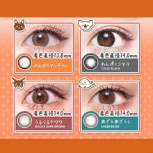 Flurry Cosmetic Contact Lenses - Mischievous Koala - View 2