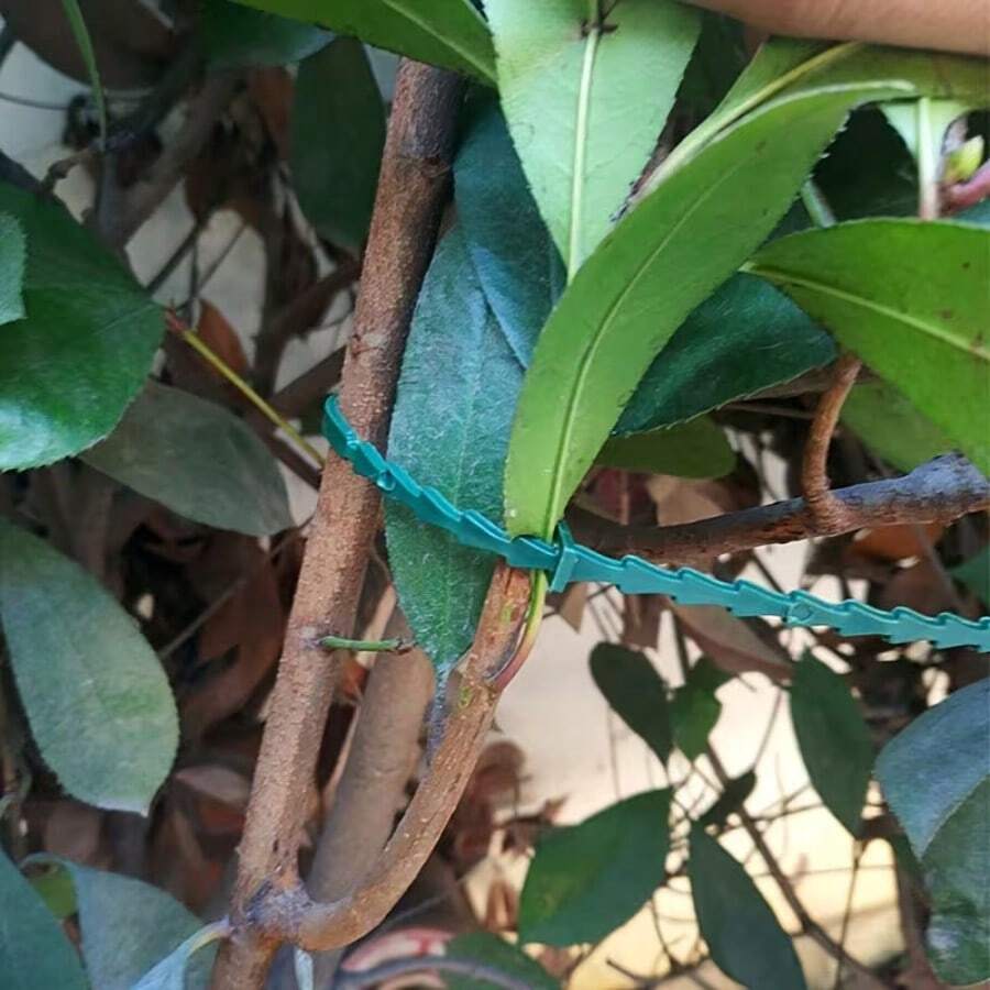 Reusable Garden Twine Ties - Adjustable Nylon Straps For Plant Support, Vines And Shrub Organizing - Essential Gardening Tool