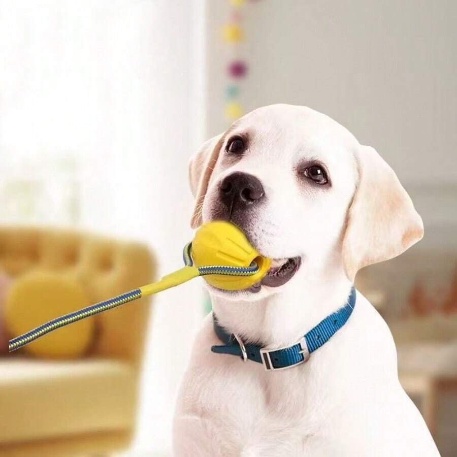 Dog Toy Ball, Pet Dog Chew Toy, Anti-Bite Durable Ring, Teeth Grinding, Anti-Bite Floating Water Relief Tool, Pet Toy - Multicolor - View 1