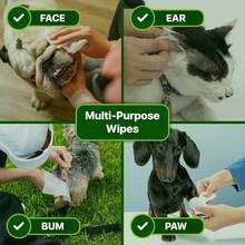 400 Count Orchid Scented Wipes 2 Pack Plant Based Compostable Grooming Wipes For Dogs Cats Strong For Paws Body Ears Daily Cleaning Deodorizing - Gói 200 chiếc/hộp - Xem 3