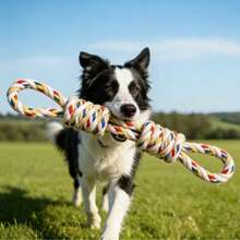 1 Stück interaktives Hundeseil-Spielzeug zum Tauziehen, robustes Hundespielzeug für große, mittlere und kleine Hunde, Kauknochen gegen Langeweile, Ziehball-Seil zur Zahnreinigung - Senfgelb - Übersicht 3