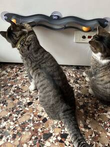 Cat Toy: Self-Propelled Wave Track With Suction Cup (PP Material + 2 Small Balls) - Multicolor - View 2