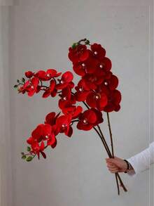 1/3/5支装27英寸仿真蝴蝶兰枝条，质感逼真，适用于家居、办公室、婚礼装饰，也适用于宿舍、情人节、母亲节礼物、人造植物、办公室、派对、节日、生日等场合，适合家居、入口、酒店、餐厅、客厅、卧室、婚礼、厨房、花园等场所，营造装饰风格，是派对和节日装饰的理想之选。 - 紅色 - 查看 3