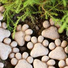 20 piezas Estatuas de decoración con huellas de gato para exteriores, decoraciones de garras de gato en miniatura para jardín y césped de primavera, decoración del hogar, piedras de pavimentación para micro paisajismo de bonsái con patas de gato, adecuadas para decoración de jardín exterior, accesorios de jardinería - 20 huellas de patas de gato - Ver 7