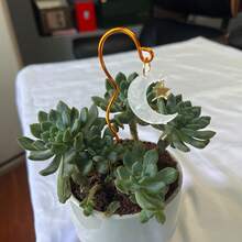 1个月亮星星造型植物架;盆栽植物装饰;手工制作小型吸光植物架;小型金属丝植物架;可爱园艺装饰;送给植物爱好者的礼物;适合小型植物;斋月装饰礼品 - 星星和月亮金屬絲植物樁 - 查看 7