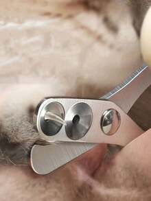 双孔猫咪指甲钳，美容工具，精准修剪不伤宠物指甲，设计简洁，握感舒适，两种孔径大小适合小型和大型猫咪，优质材料，易于使用，深度清洁，减少猫咪掉毛 - 雙孔 - 查看 3