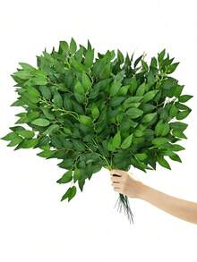 Nhiều màu