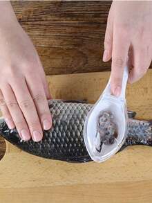 Removedor manual de escamas de pescado con tapa, herramienta de raspado de escamas de pescado para la cocina - Multicolor - Ver 4