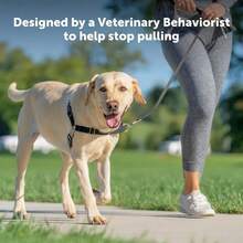 Charcoal Small Dog Harness, No-Pull Control, US Bestseller For Daily Walks - 預設 - 查看 4