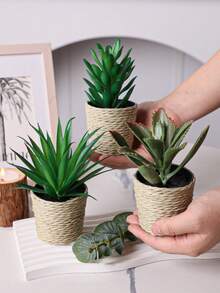 Bộ 3 chậu cây giả mini hình cây mọng nước nhiệt đới, chậu đan bằng rơm màu trắng, đường kính 6,5 cm / 2,55 inch, trang trí bằng dây rong biển, làm từ chất liệu PE. Hoàn hảo để trang trí bàn làm việc, ký túc xá sinh viên và văn phòng. Những chậu cây giả này cũng lý tưởng để trang trí nhà cửa, làm cảnh quan, trang trí tiệc/ngày lễ và trang trí tiệc sinh nhật. - Nhiều màu-A - Xem 11