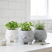 Mini Cute Expression Succulent Plant Pot, Heart-Shaped Plastic Succulent Planter, 6cm/2.4 Inch Small Pot, Suitable For Desk, Office, Shelf And Home Decor, White, Gray - A - View 12
