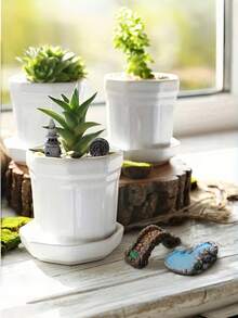 3 piezas de figuras coleccionables de gnomos de jardín de hadas de resina, muñecos gnomos de musgo, adecuados para acuario, paisaje en miniatura, casa de muñecas y decoraciones DIY de escenas en miniatura - A - Ver 5