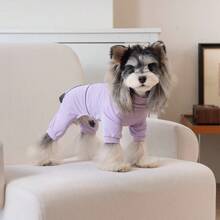 Quần áo mùa xuân in hình kem cho cún con - Màu vàng - Xem 5