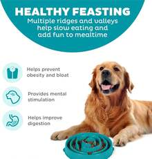 Fun Feeder Slo Bowl – Large 4‑Cup Capacity, Slow Feeding, Medium To Large Dogs, Non‑Slip, Turquoise, Drop Pattern - Purple - 查看 10