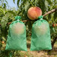 15个/套 可重复使用的水果/植物保护袋，防虫网罩，适用于番茄、葡萄、苹果和其他园艺作物 - 水果保護罩 - 查看 3