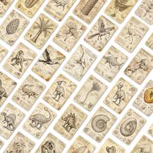 36张恐龙科学知识闪卡，早期教育史前生物闪卡，教学辅助卡 - 36張恐龍科普知識卡 - 查看 7