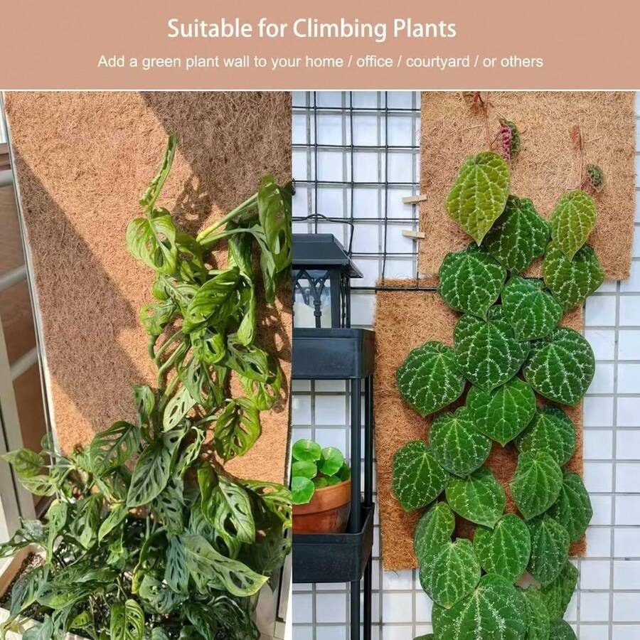 1pc Natural Coconut Fiber Mat, Multipurpose Outdoor Rug, Gardening Decor, Reusable Pad, Reptile Crawling Pad, Absorbent Floor Mat - Coconut Palm - View 1