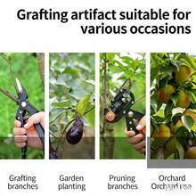 一套多功能嫁接剪、嫁接刀、苗圃嫁接工具、园艺嫁接工具套装 - 多色 - 查看 9