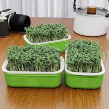 1 Set Bean Sprout Planter, Sprouting Device, Hydroponic Wheat Grass Planting Tray, Home Soil-Free Cultivation - Multicolor - View 5