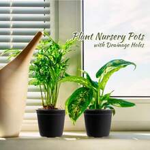 Chậu ươm cây, chậu nhựa 10cm có lỗ thoát nước - Chậu ươm hạt trong suốt, dẻo dai dùng để gieo hạt, trồng cây mọng nước, cây con, hoa - Có thể tái sử dụng và bền, ngăn ngừa thối rễ, thích hợp cho làm vườn tại nhà, các dự án xanh. - A - Xem 2