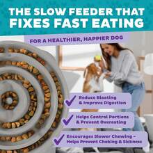 Fun Feeder Slo Bowl – Large 4‑Cup Capacity, Slow Feeding, Medium To Large Dogs, Anti-Skid, Blue, Groove Pattern - Gray - View 3